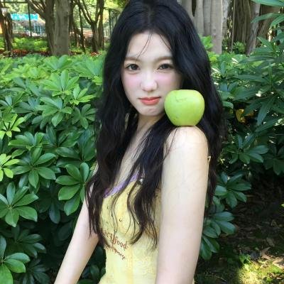紫苑草